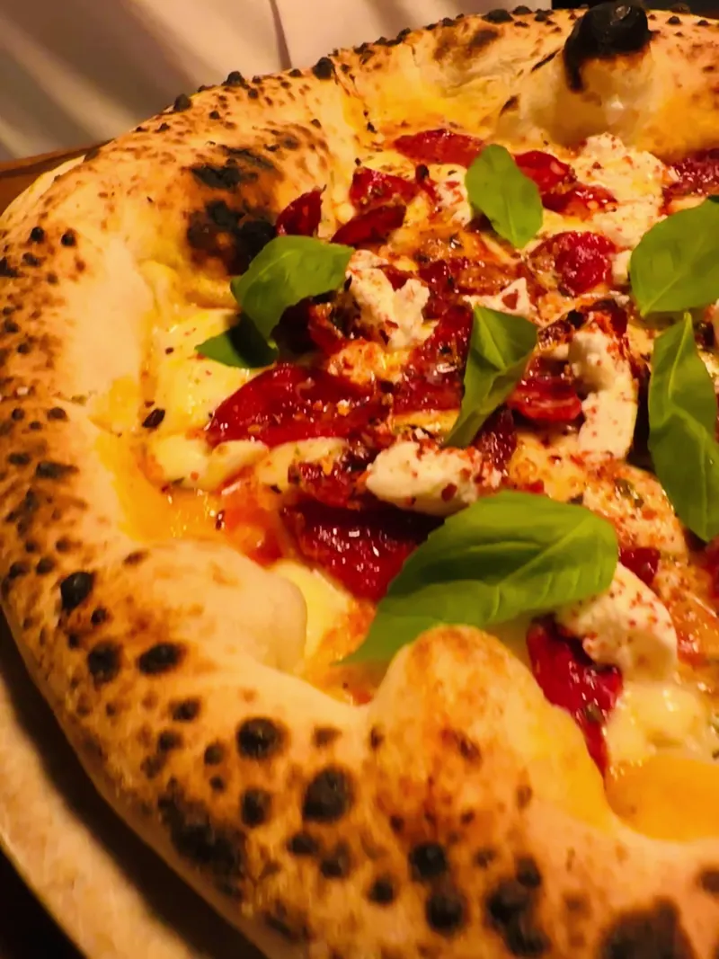 Close-up of a Neapolitan pizza with a blistered crust, red peppers, cheese and basil leaves